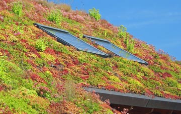 South Fambridge living roof systems